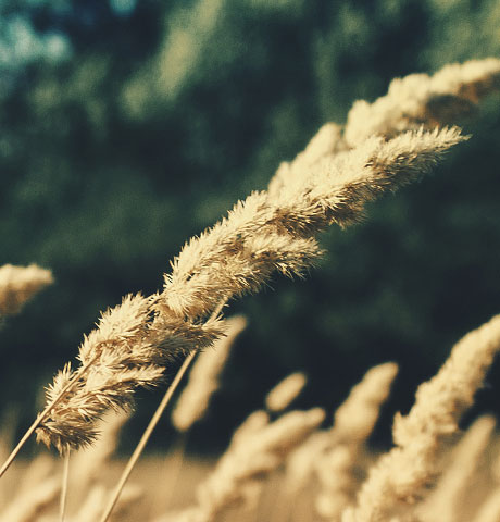 免费ddos压力测试平台